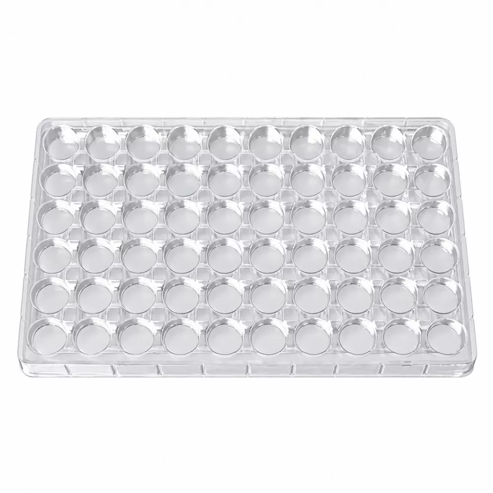 Eco-friendly Food-grade Lipstick Tray