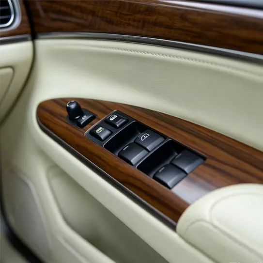 Mga Plastic na Wear-Resistant Automotive Interior Trim Buttons